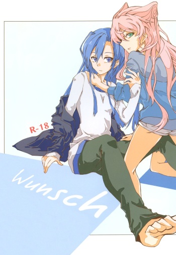(C85) [HB (Futoo)] Wunsch (Senki Zesshou Symphogear) cover