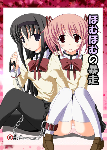 [DreamProject (Yumeno Shiya)] Homu Homu no Bousou (Puella Magi Madoka Magica) [Digital] cover