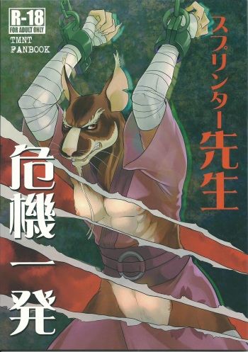 (Fur-st 8) [INK (Kreuz, Kandagawa Gufu)] Splinter-sensei Kiki-ippatsu (Teenage Mutant Ninja Turtles) cover