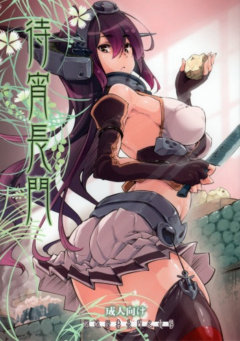 [Fujiya Honten (Thomas)] Matsuyoi Nagato (Kantai Collection -KanColle-) [2014-01-17] cover