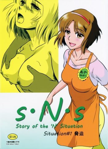 (C86) [MASHIRA-DOU (Mashiraga Aki)] Story of the 'N' Situation - Situation#1 Kyouhaku cover