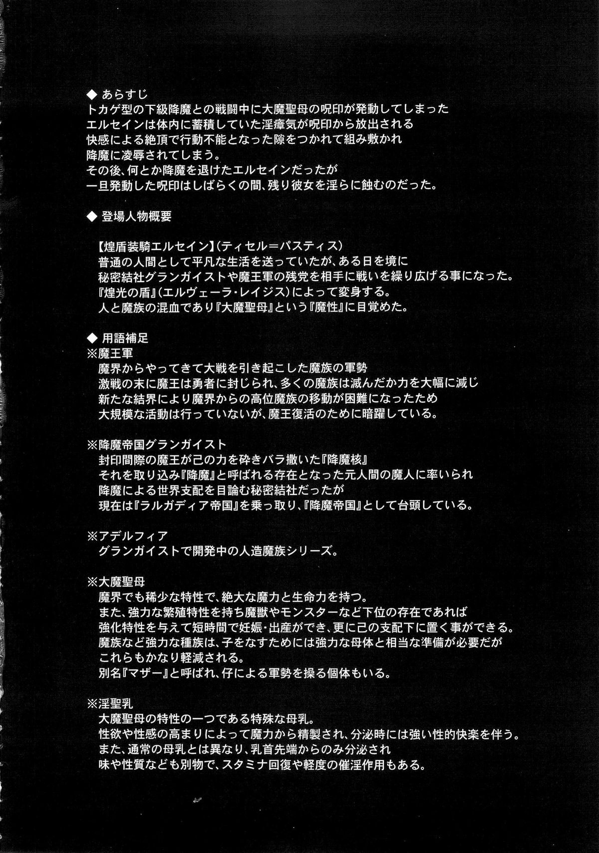 Shield Knight Elsain Vol. 18 Injuu no Jukokuin 2 page 3 full