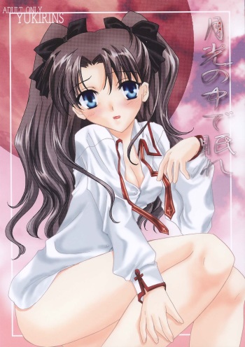 [YUKIRINS (Yuunyan)] Gekkou no Naka de Nemure (Fate/stay night) [Digital] cover