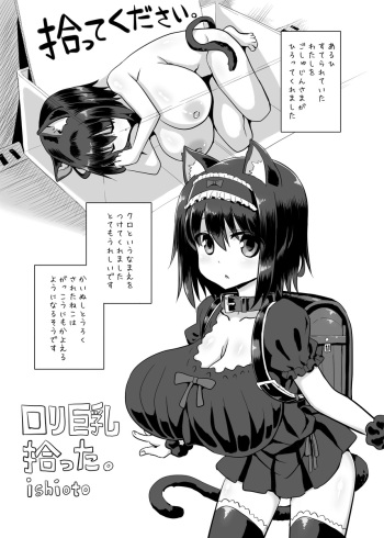 [Ishioto] Loli Kyonyuu Hirotta. cover