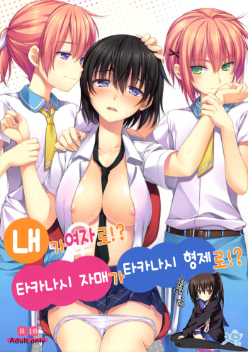 (C86) [Alpha to Yukaina Nakamatachi (Alpha)] Ore ga Onna ni!? Itoko ga Itoko ni!? [Korean] [완벽한 사람] cover
