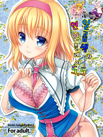 (Kouroumu 10) [Iiwake-Gaisya (Shigemiya Kyouhei)] Nanairo to Koibito Play 5.5 (Touhou Project) [Korean] [WestVatican] cover