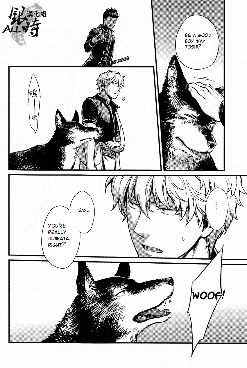 HOW to SPOIL YOUR DOG page 12 full