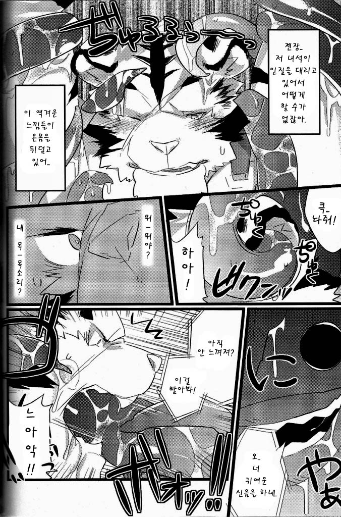 Repeat page 11 full