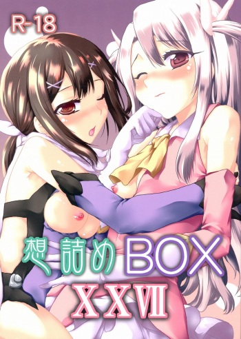 (SC61) [Omodume (Kushikatsu Koumei)] Omodume BOX XXVII (Fate/kaleid liner Prisma Illya) [English] [SaHa] cover