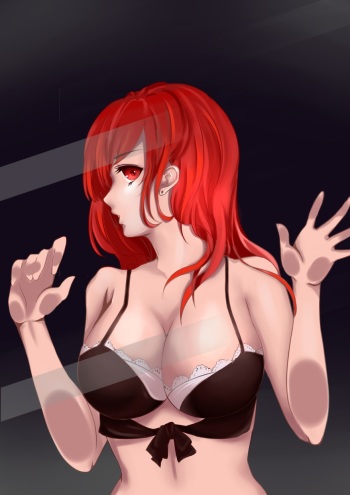 Miss Fortune cover