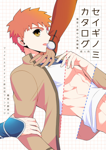 [TEKETO (Sanada)] Seiginomi Catalog (Fate/stay night) [Digital] cover