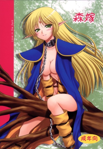 [Ai Wa Kurayami (Marui Ryuu)] Moriyome (Record of Lodoss War) [Digital] cover