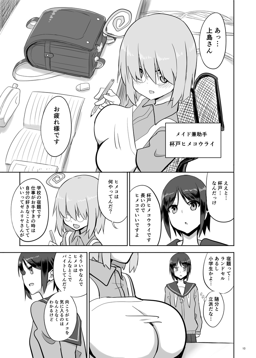Zemuriya Report page 12 full