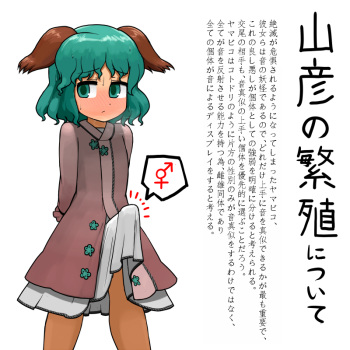 [Ninniku(Kari)] Yamabiko no Seishoku Koui Mousou Manga (Touhou Project) cover