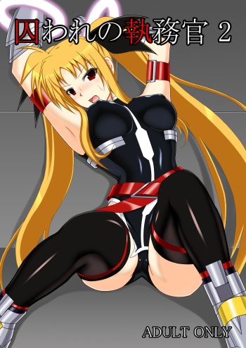 [Misty Wind (Kirishima Fuuki)] Toraware no Shitsumukan 2 (Mahou Shoujo Lyrical Nanoha) [Digital] cover