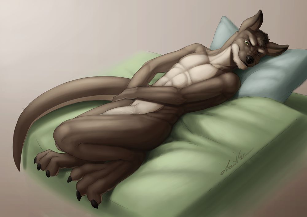 Dreiker Summer Pack page 12 full