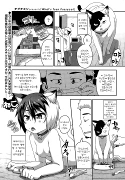 What's Tsun Pussycat