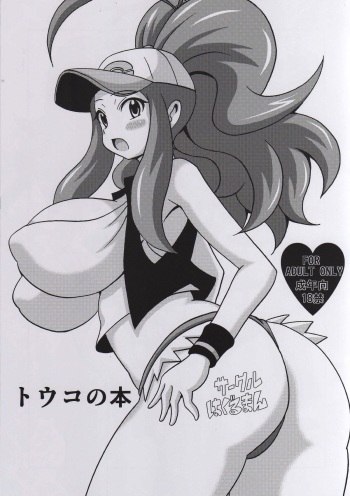 (C87) [Haguruman (Koutarosu)] Touko no Hon (Pokémon) cover