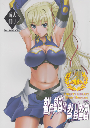 [Oretachi Misnon Ikka (Suhara Shiina)] Yumi wa Fukuro ni Tachi wa Saya (Madan no Ou to Vanadis) [Korean] [Liberty Library] cover