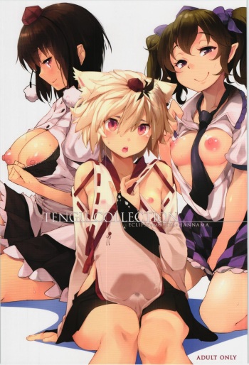 (Reitaisai 12) [Eclipse, Mochi-ya, Hannama (Rougetu, Karochii, Soine)] TENGU COLLECTION (Touhou Project) cover