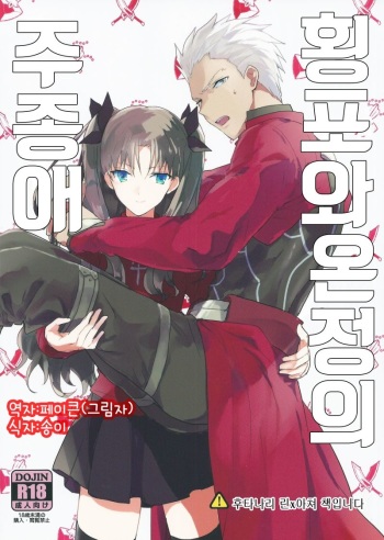 (SUPER24) [F.O.F (Yukowa(kari))] Oubou to Onjou no Shujuu Ai (Fate/stay night) [Korean] [페이큰(그림자)] cover