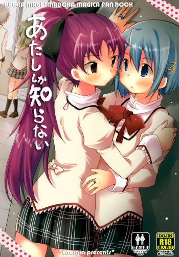 (C86) [Energia (Pikachi)] Atashi shika Shiranai (Puella Magi Madoka Magica) cover
