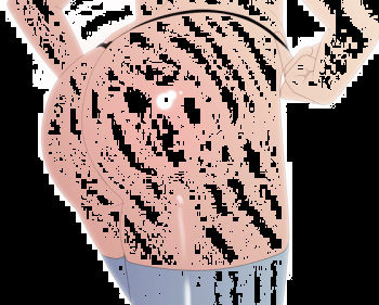 [HardTrap] HardTrap IMGS cover