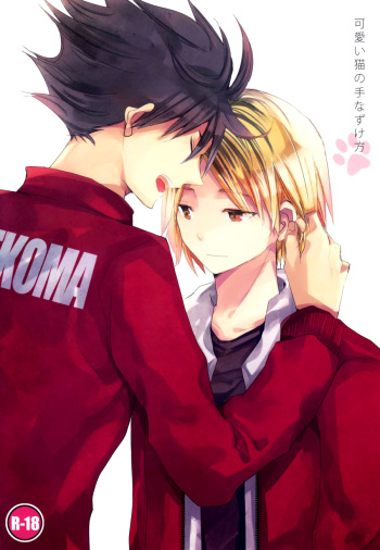 (IDLING ATTACKER) [Octo (Hachi)] Kawaii Neko no Tenazukekata | How to Tame a Cute Cat (Haikyuu!!) [English] [Baka Dumb Aho Scans] cover