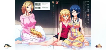 [Megastore Henshuubu, Jellyfish] SISTERS ~ Natsu no Saigo no Hi ~ ULTRA EDITION Official Funbook 1990/0801-0817 cover