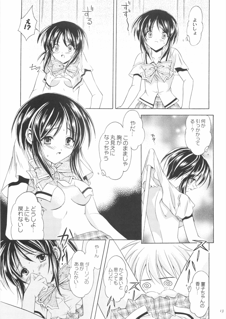 Reversible Twin ★ Ichijou Shimai ver. page 12 full