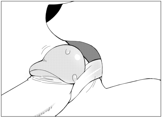Lyre/Kitty  LKNOFansub page 8 full