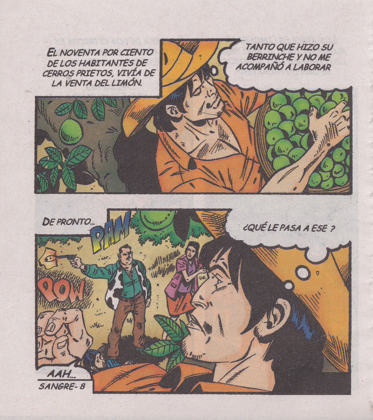 Sangre Caliente 0294 page 10 full