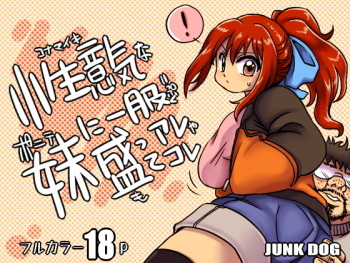 [JUNK DOG (Inuzuka Koutarou)] Konamaiki na Poni-te Imouto ni - Buku Motte are ya kore [Digital] cover