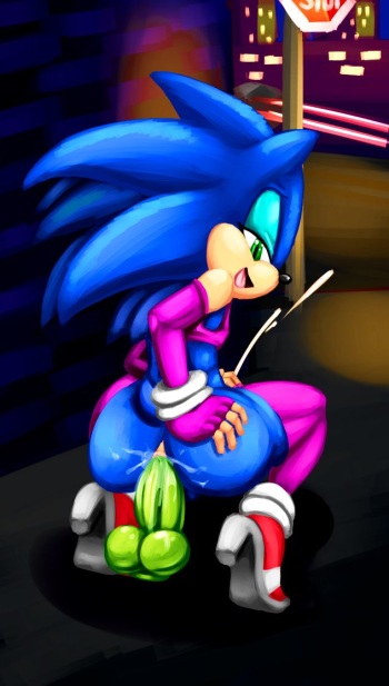 SONICTHE HEDGEHOG BITCH 2 cover