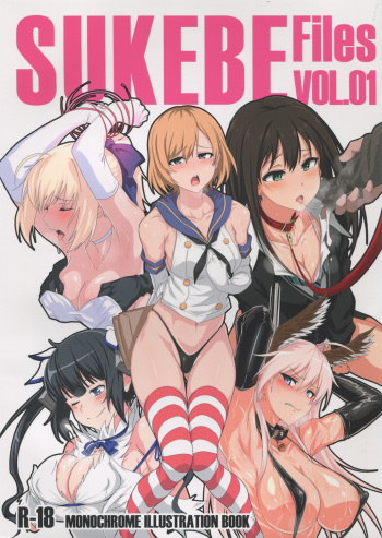 (COMIC1☆9) [Jitaku vacation (Ulrich)] SUKEBE Files VOL. 1 (Various) cover
