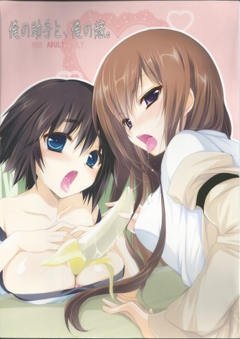 (CHAOS;GATE) [Ninokoya (Ninoko)] Ore no Joshu to, Ore no Yome. (Steins;Gate) cover