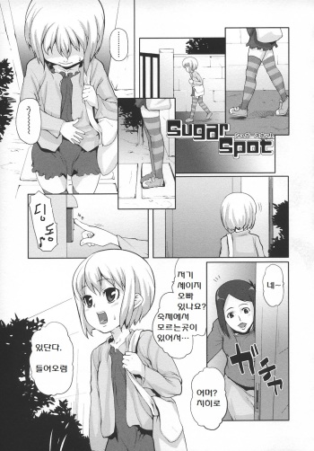 [mizu] Sugar Spot (Ana Puri - Shiri Ana Hime) [Korean] cover