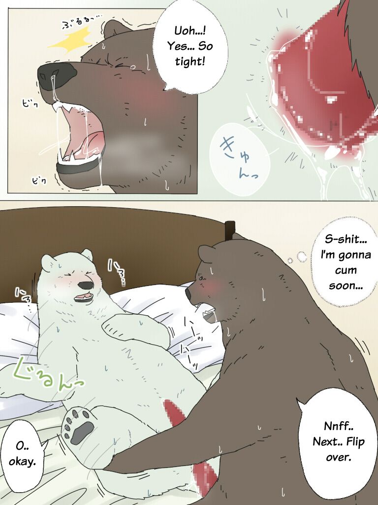 Shirokuma-san to Haiiroguma-san ga Ecchi suru dake | Polar Bear and Grizzly Just Have Sex page 12 full