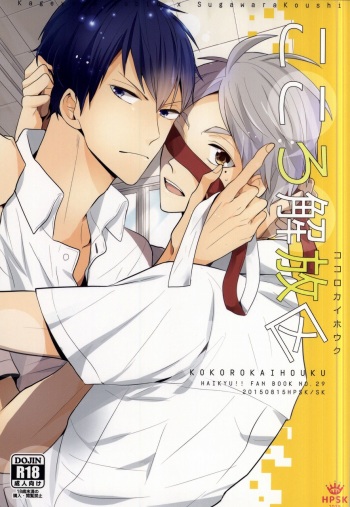 (C88) [HPSK (SK)] Kokorokaihouku (Haikyuu!!) cover
