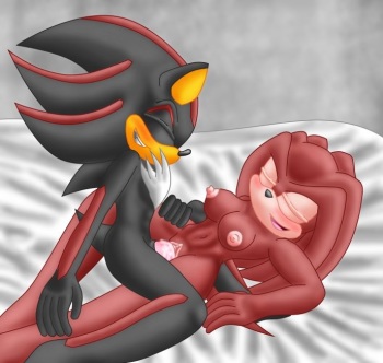 Gender Bender - Other Sonic Char. cover