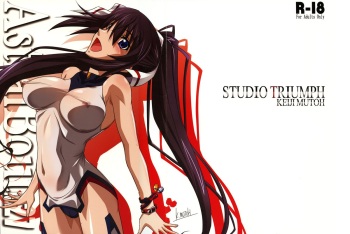 (C85) [STUDIO TRIUMPH (Mutou Keiji)] Astral Bout Ver. 27 (IS <Infinite Stratos>) cover