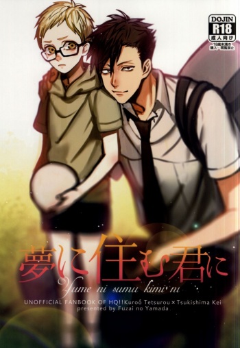 (Kuroneko to Koi no Shinkoukei) [Fuzai no Yamada (Yumoto)] Yume ni Sumu Kimi ni (Haikyuu!!) cover