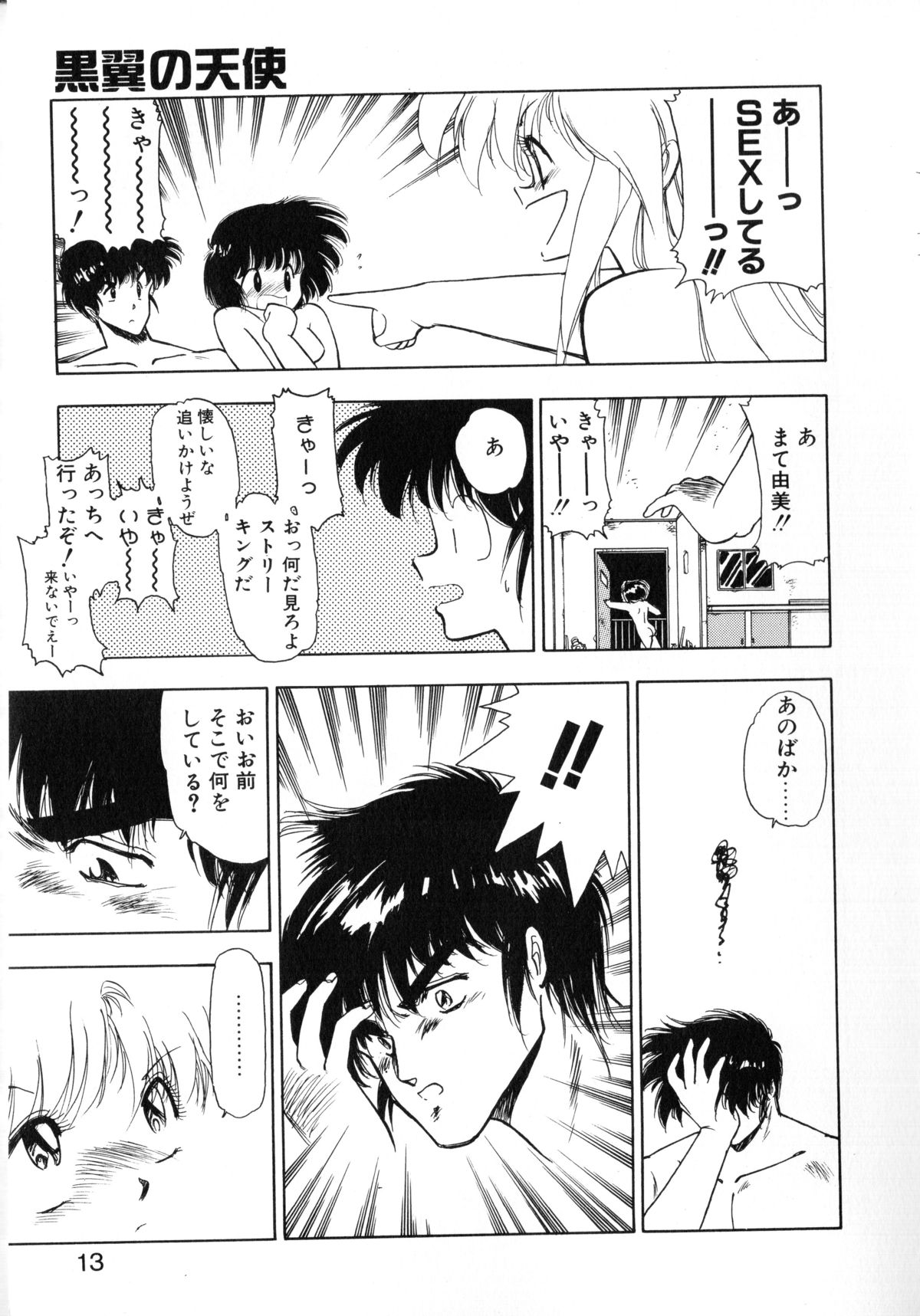 Kokuyoku no Christis page 11 full