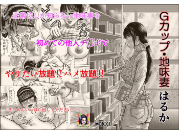 [Vanilla Type] G-Cup Jimizuma Haruka cover