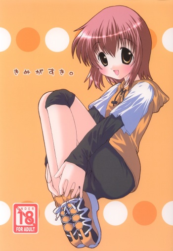 [Nigarizumu (Niga Soichiro)] Kimi ga Suki (Sister Princess) cover