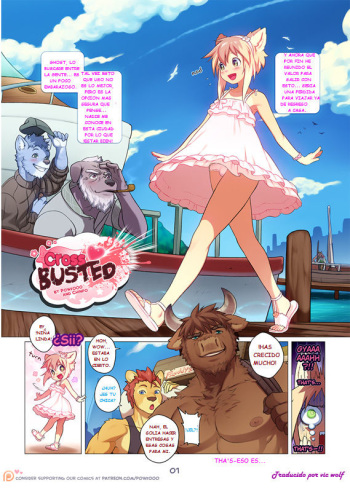Cross Busted (Español) cover
