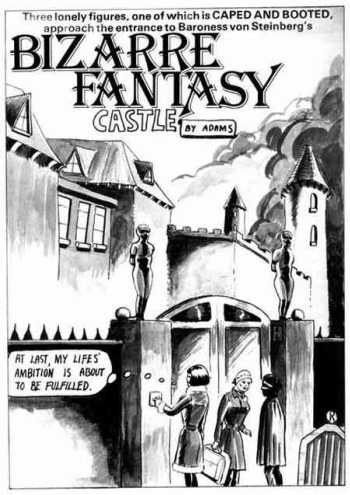 Bizarre Femdom Castle Part 1 cover