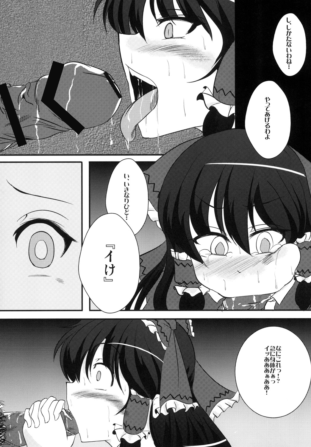 Reimu chan Choukyou Nisshi page 11 full