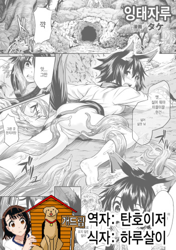 [Take] Youtai (Bessatsu Comic Unreal Noukan Acme Hen Digital Ban Vol. 2) [Korean] [Team Dog Drip] [Digital] cover